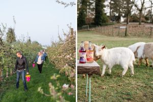 adult easter egg hunt / things to do