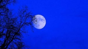 Blue Supermoon