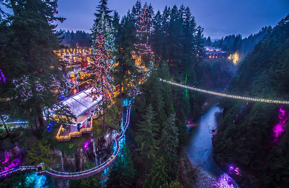 Capilano Suspension Bridge Christmas - Canyon Lights