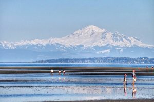 Centennial Beach Tsawwassen