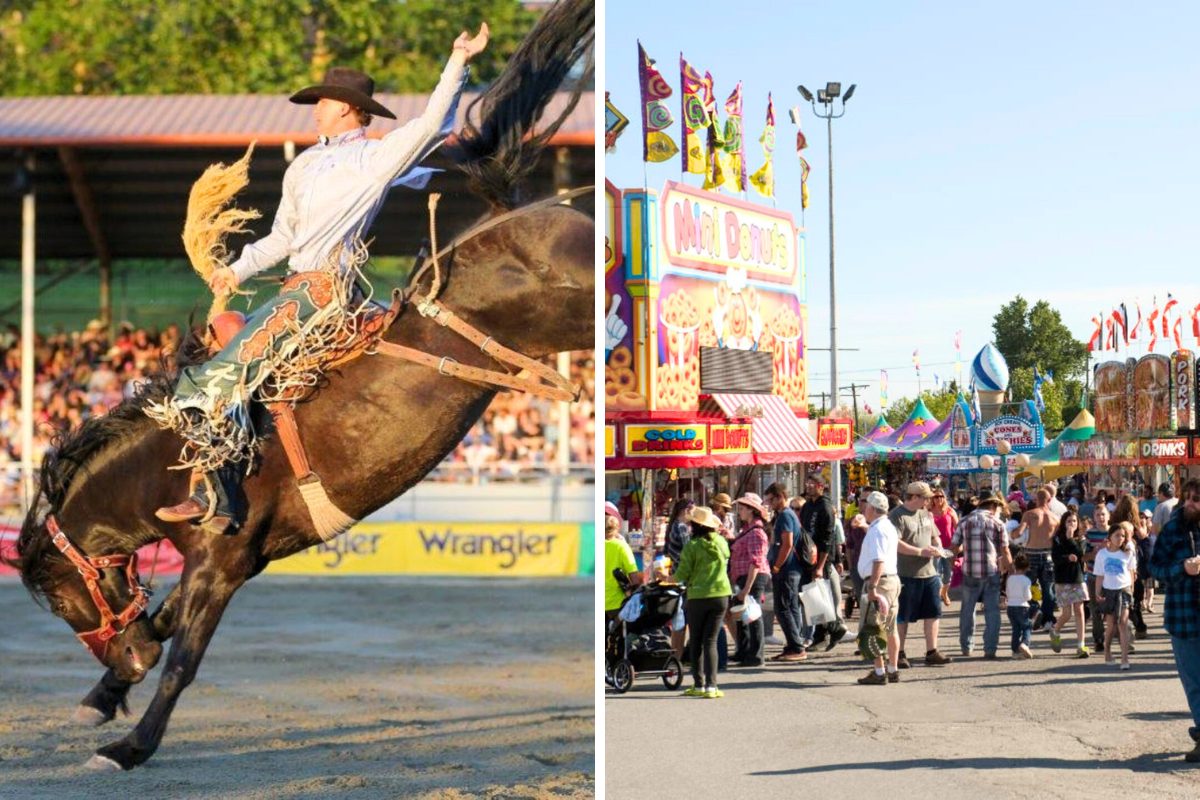 surrey cloverdale rodeo