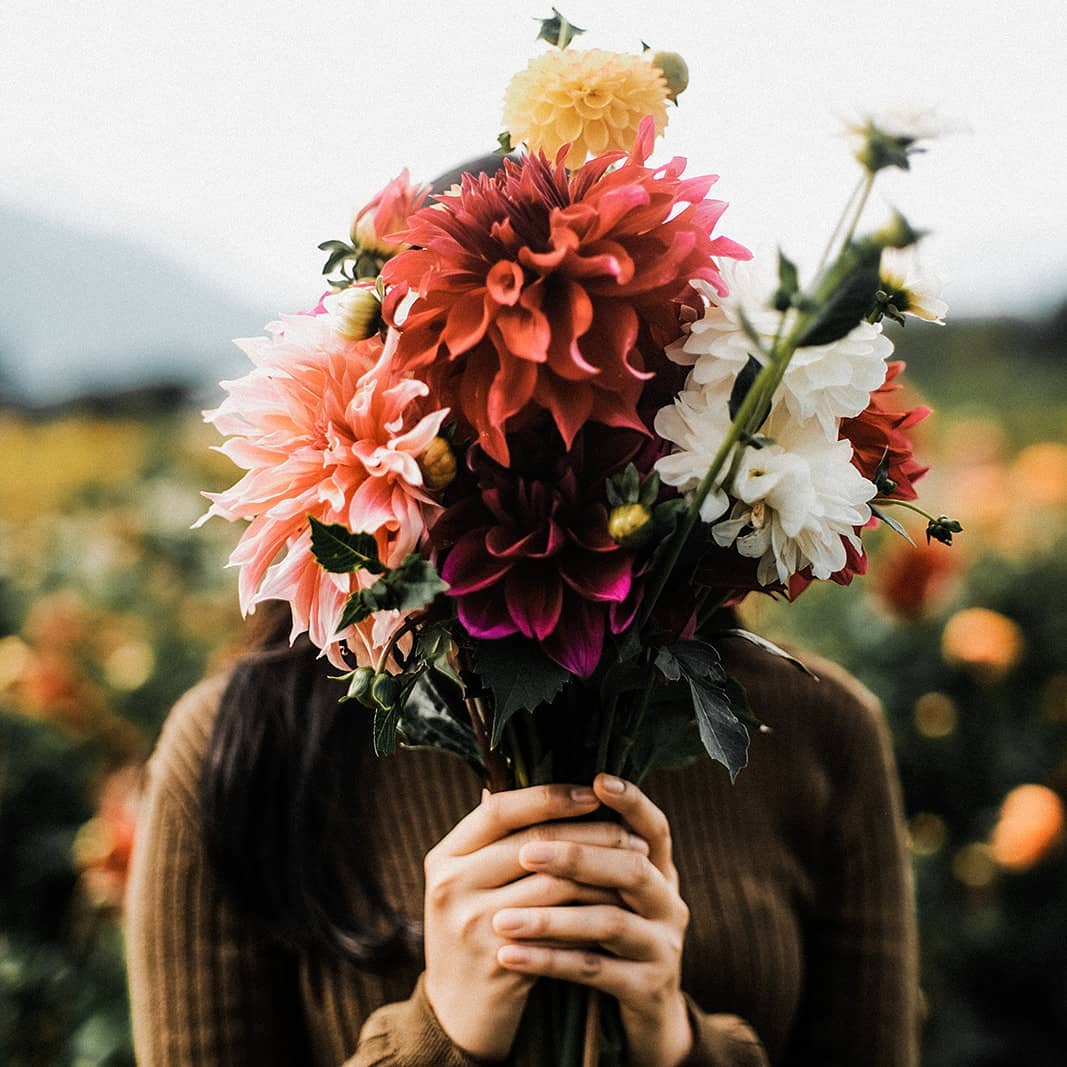 flower festivals