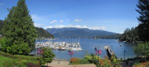 Deep Cove weekend activities july