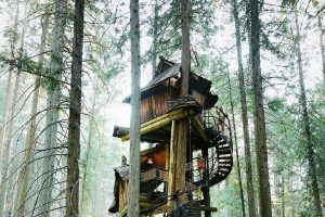 tree house