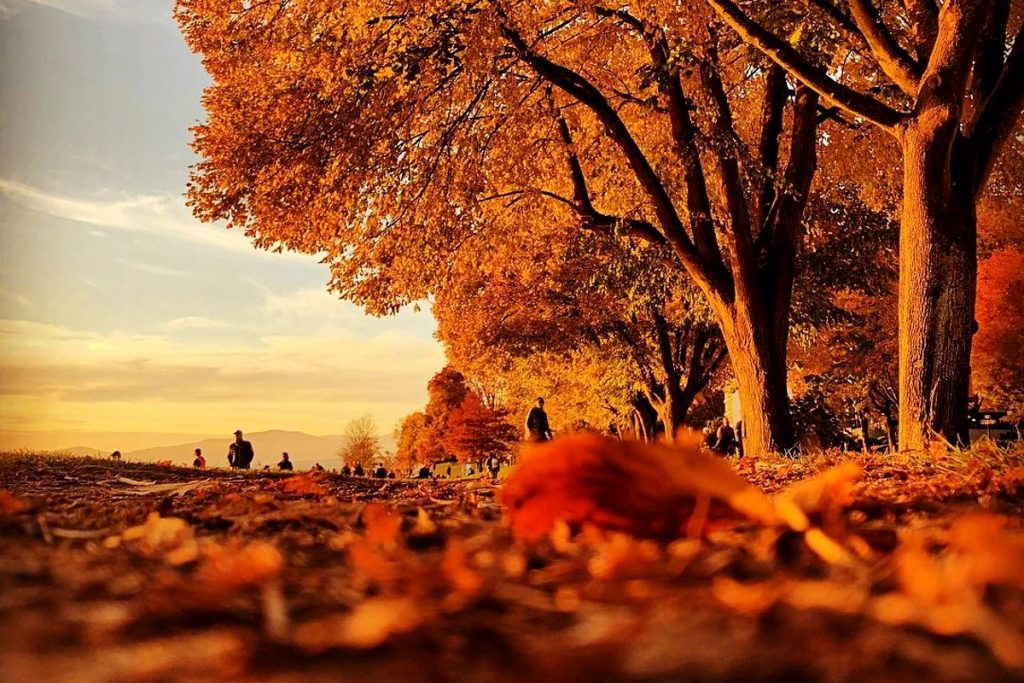 fall vancouver things to do