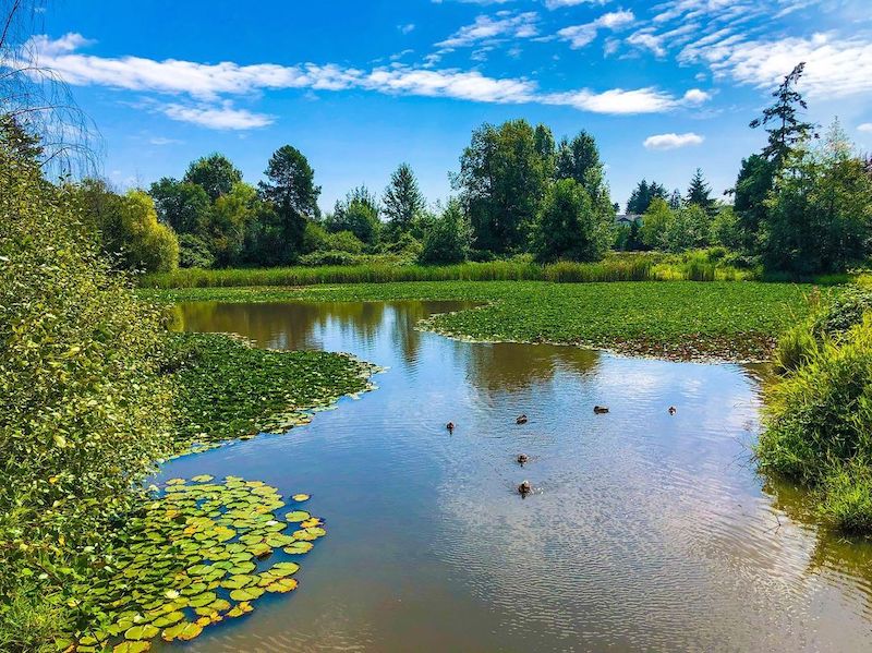 garden city park