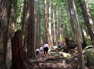 grouse grind