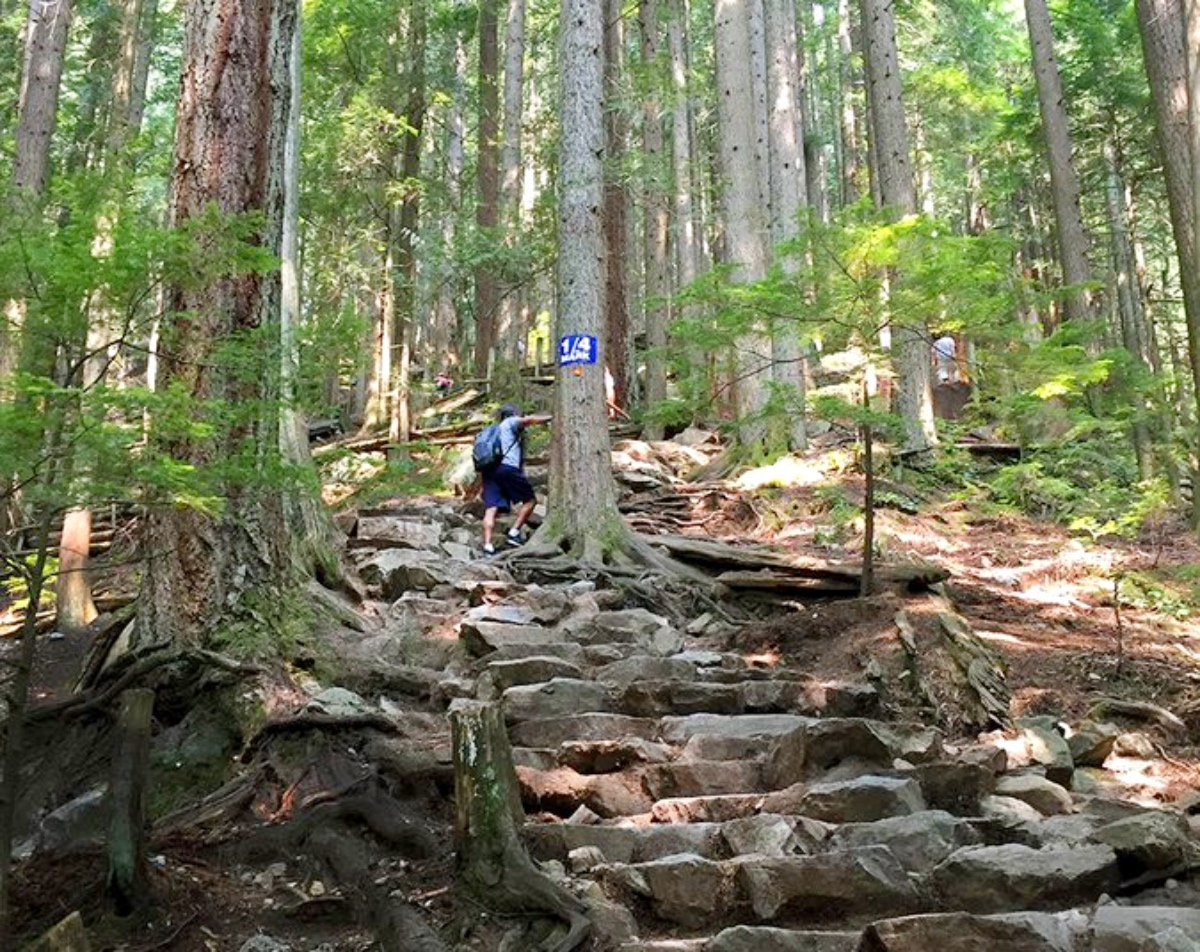 grouse grind