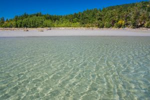 hornby island