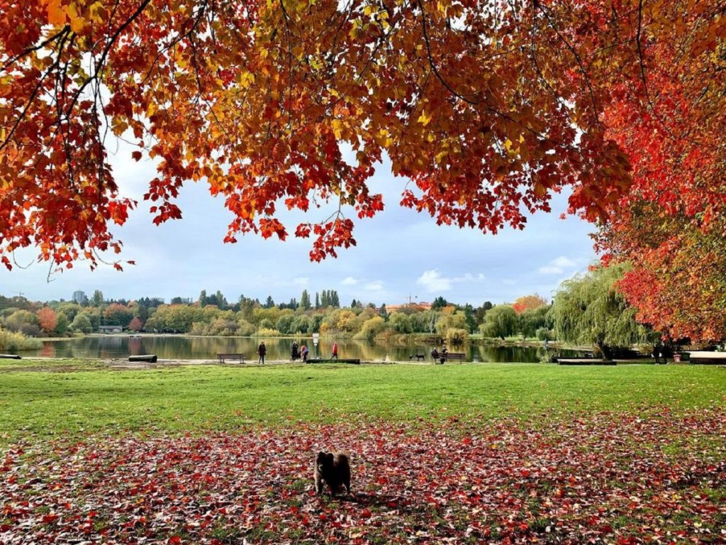 john hendry lake