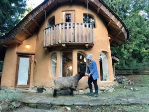 hobbit house cob cottage