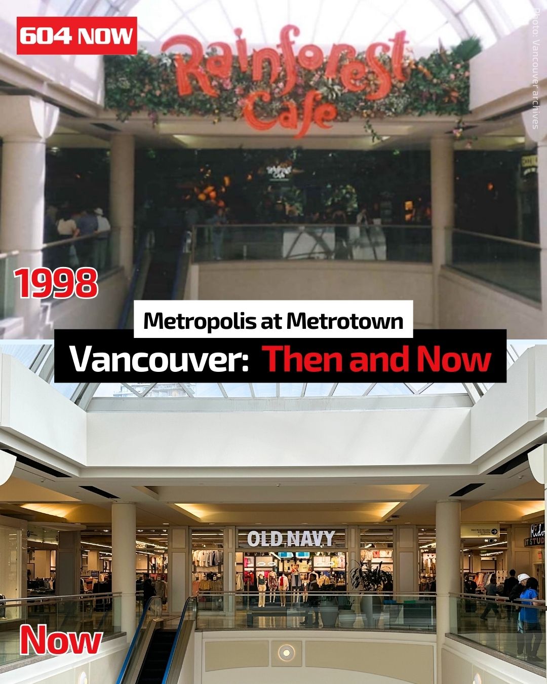 metrotown Rainforest