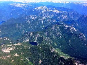 inecone Burke Provincial Park