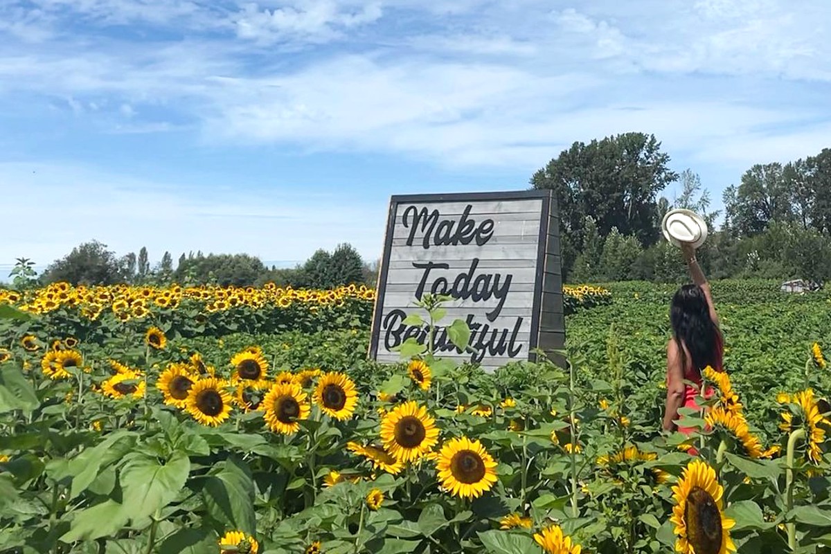 richmond sunflower festival