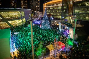 surrey christmas tree lighting festival