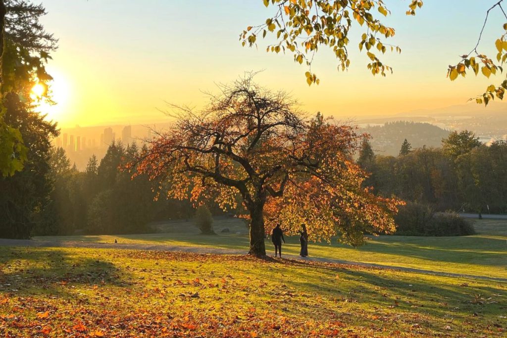 Burnaby Mountain