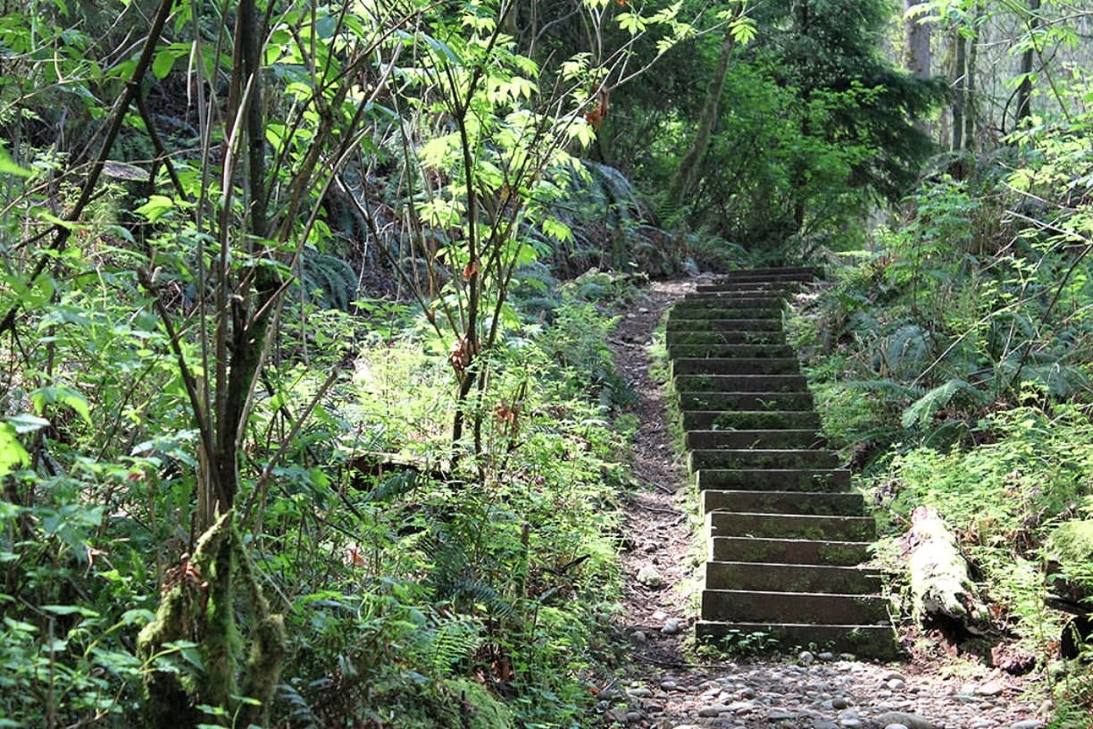 hiking trails burnaby