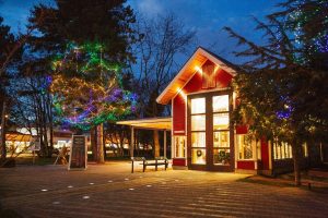 Richmond Waterfront Village Winter Wonderland Steveston